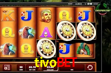 tivobet Curitiba - Statistics